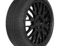 MICHELIN 295/30 R21 102V PILOT ALPIN 5 FSL