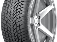 NOKIAN 225/45 R19 96V WR SNOWPROOF P